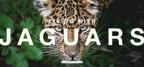 Living with Jaguars header image