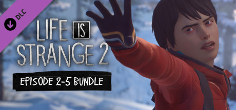 Life Is Strange 2 Episodes 2 5 Bundle Steamsale ゲーム情報 価格
