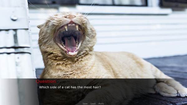 скриншот 18+ 0