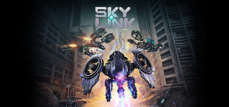 Sky Link Cover Image