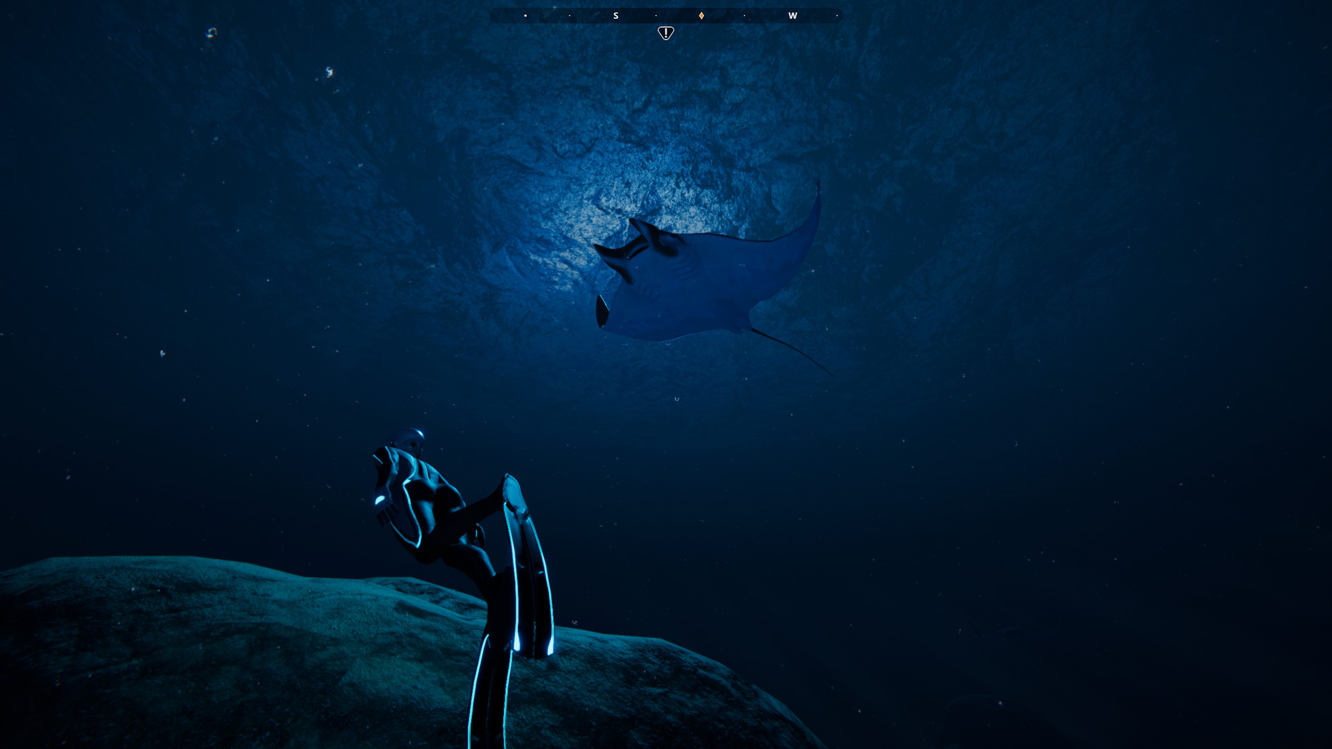Beyond Blue, le jeu d'exploration sous-marine arrive en juin