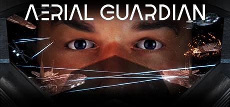 Aerial Guardian Cover Image