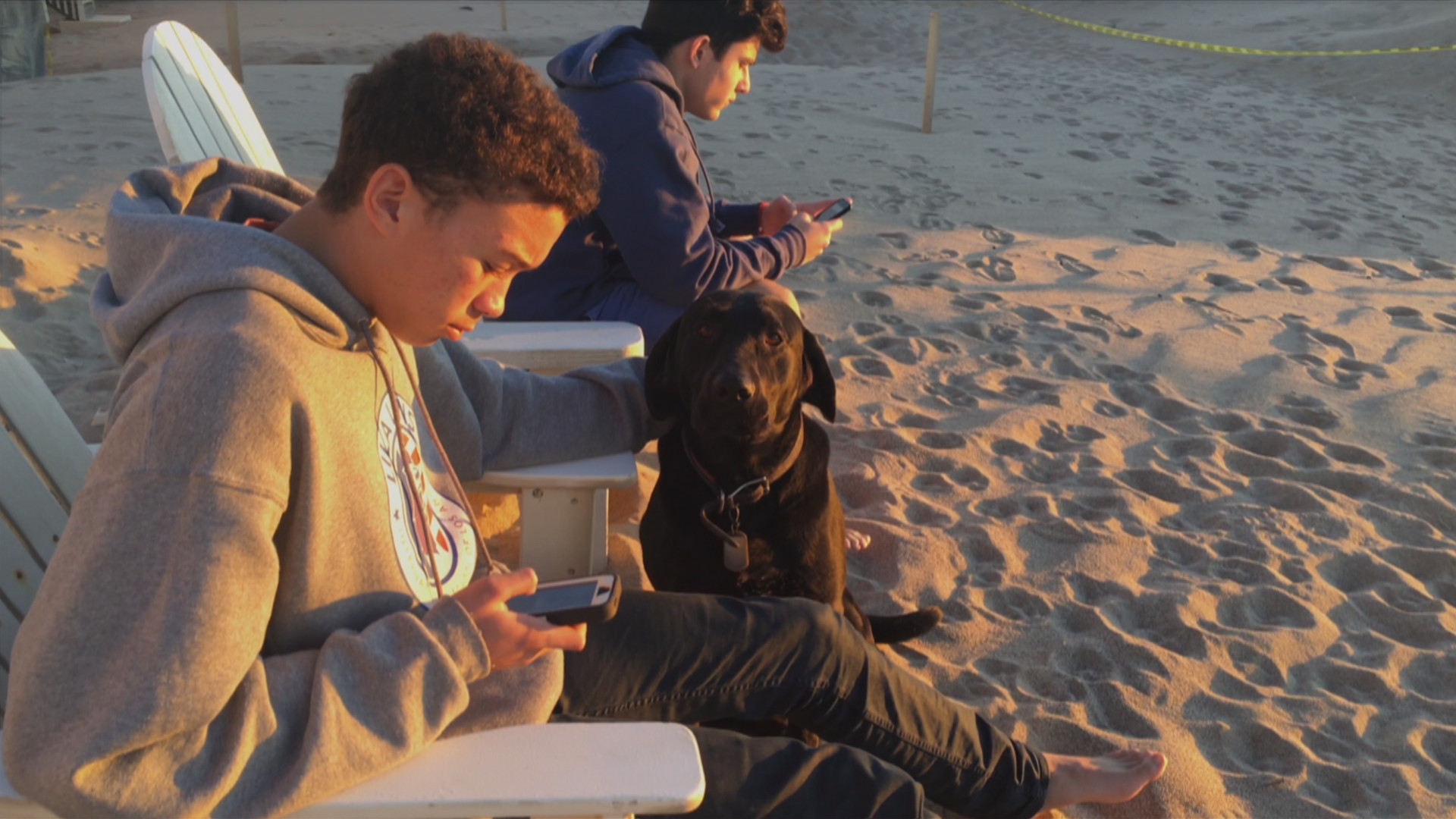 Generation Zapped #5