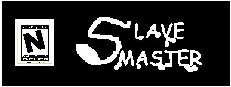 Slave Master: The Game