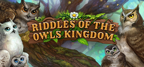 Riddles of the Owls Kingdom Cover Image