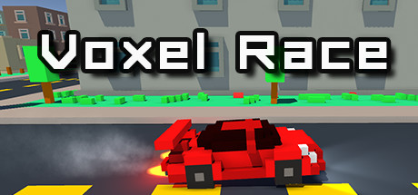 Voxel Race Cover Image
