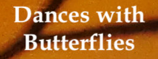Dances with Butterflies VR 게임 이미지
