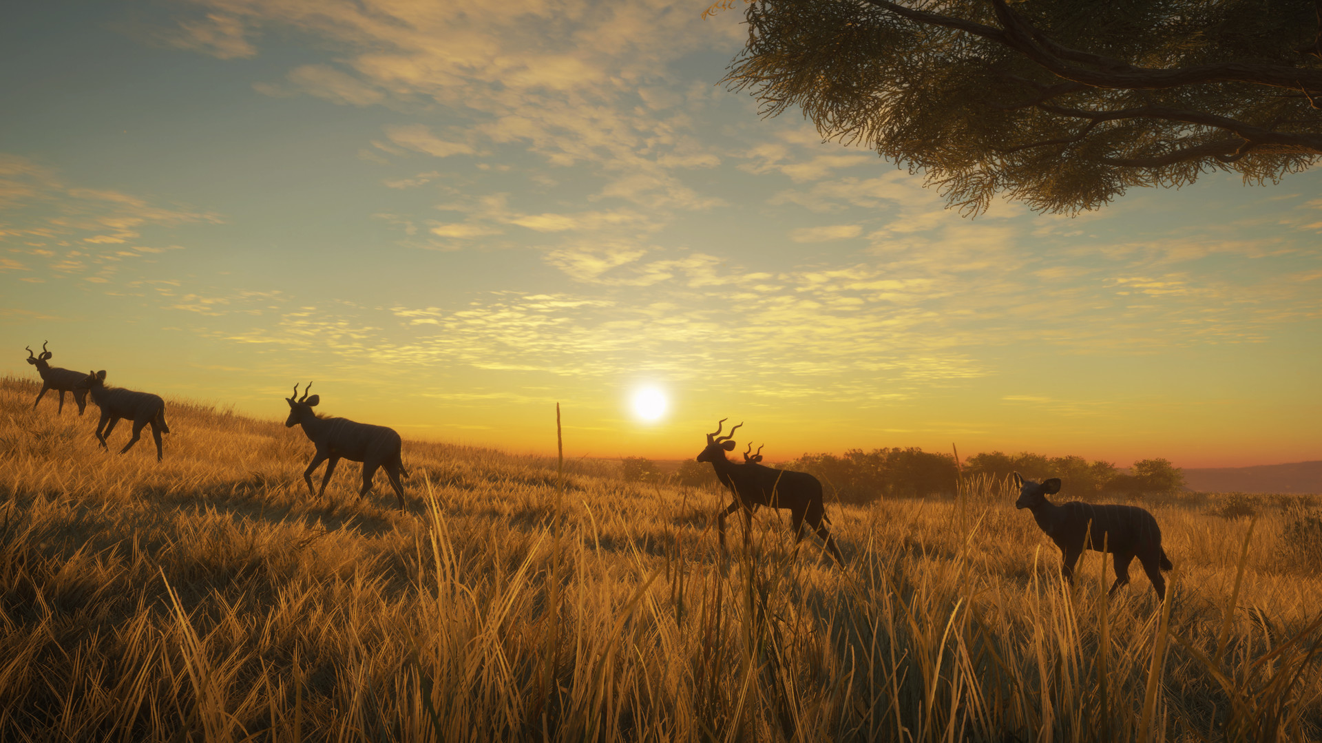 Thehunter Call Of The Wild Vurhonga Savanna On Steam