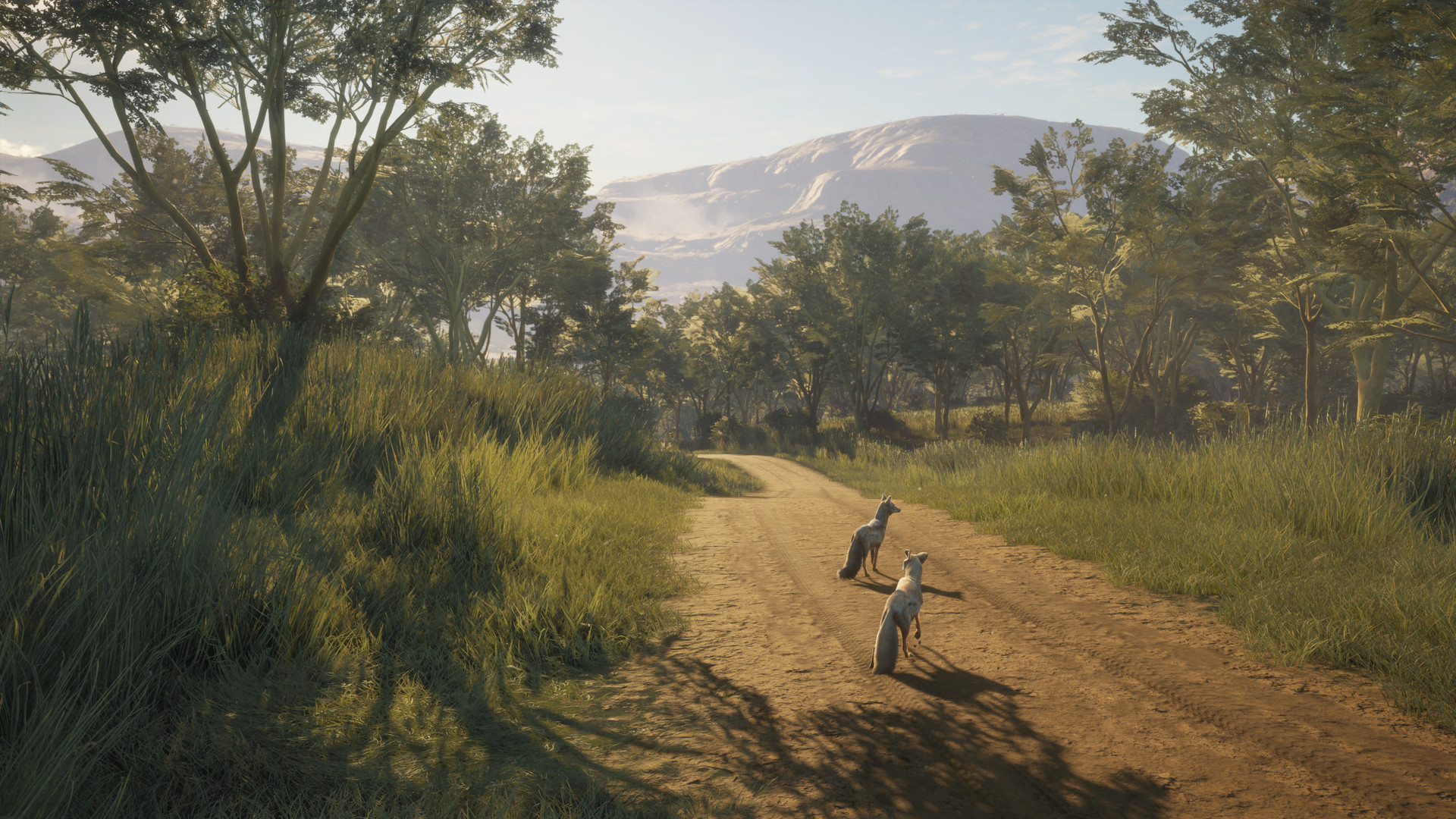 theHunter: Call of the Wild™ - Vurhonga Savanna on Steam theHunter: Call of the Wild™ - Vurhonga Savanna on Steam