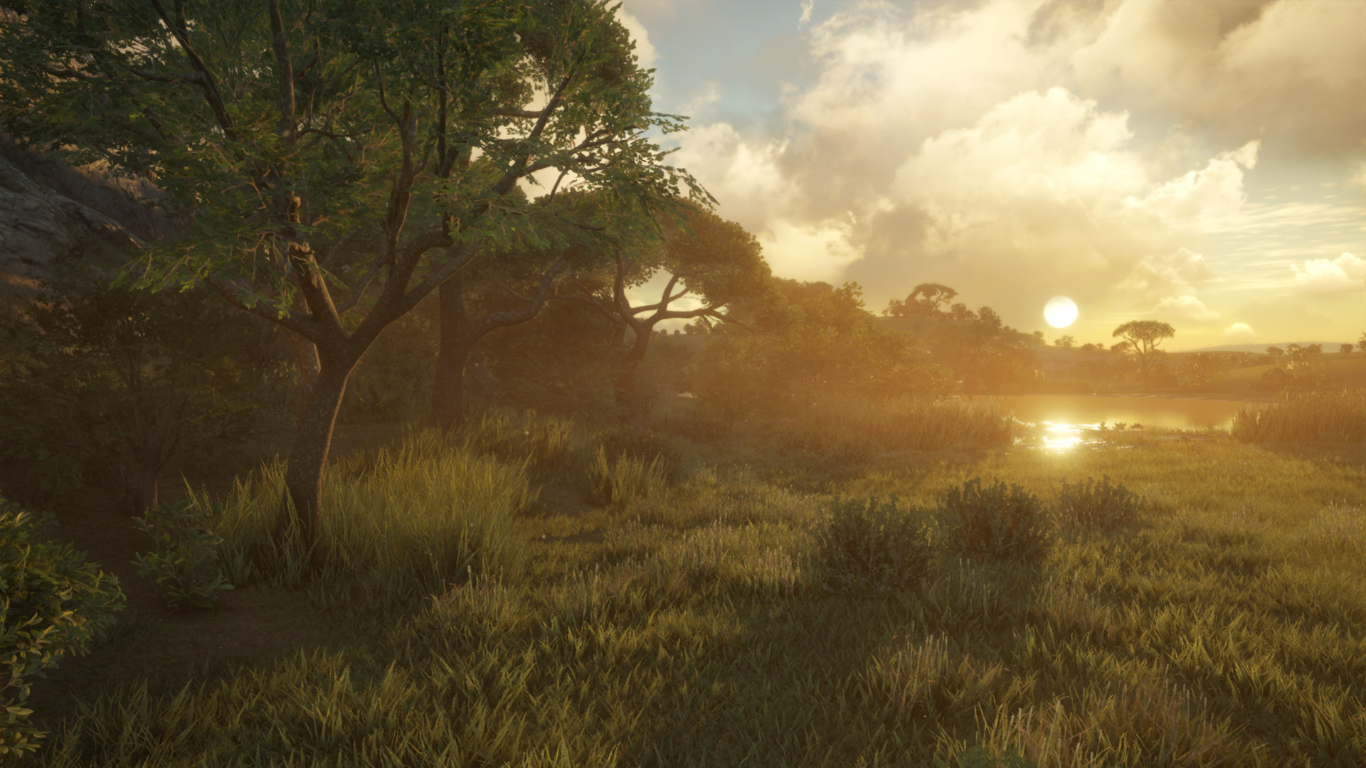 Thehunter Call Of The Wild Vurhonga Savanna On Steam