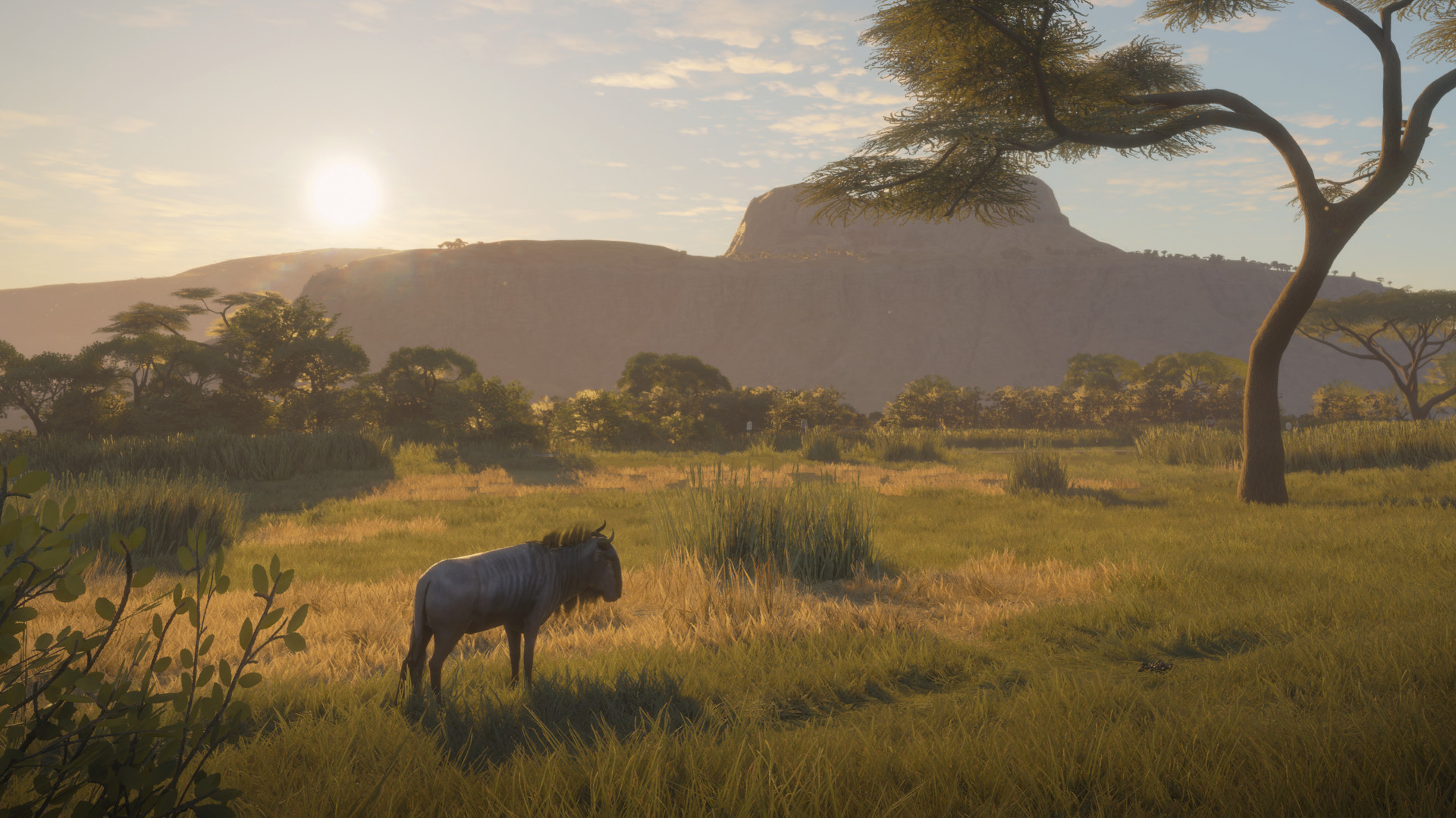 theHunter: Call of the Wild™ - Vurhonga Savanna on Steam theHunter: Call of the Wild™ - Vurhonga Savanna on Steam