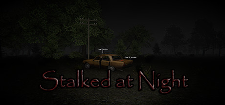 Stalked at Night Cover Image