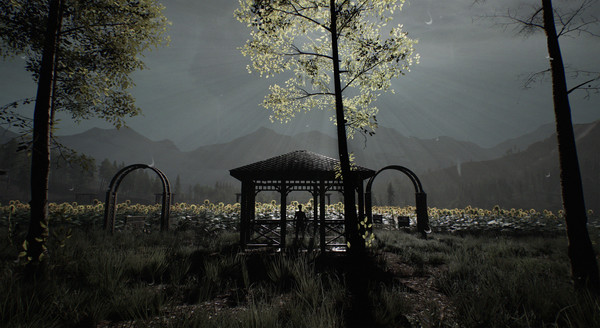 Pendle Hillfor windows and Linux 1