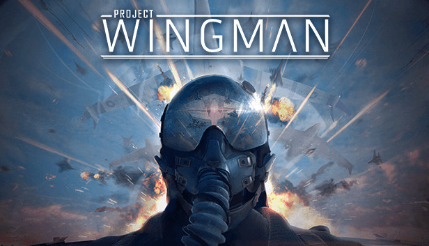 Project Wingman on Steam