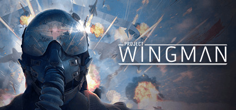 Project Wingman header image