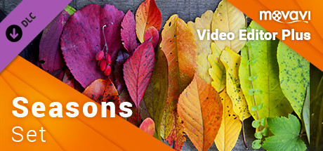 Купить ключ дешево Movavi Video Editor Plus. Seasons Set