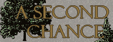 A Second Chance 게임 이미지