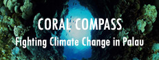 Coral Compass: Fighting Climate Change in Palau 게임 이미지
