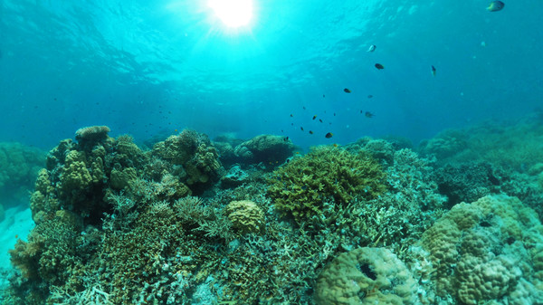Coral Compass: Fighting Climate Change in Palau