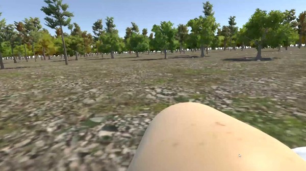 скриншот Chicken VR 5