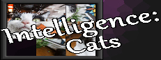 Intelligence: Cats
