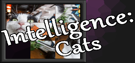 Intelligence: Cats banner image