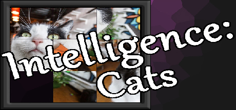 Intelligence: Cats Cover Image