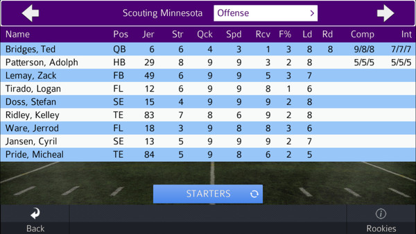Screenshot of Pro Strategy Football 2019