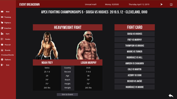 скриншот MMA Simulator 1
