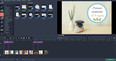 Movavi Video Editor Plus - Eco Set (DLC)