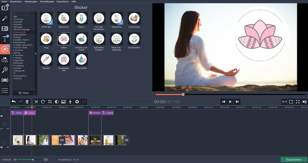 скриншот Movavi Video Editor Plus - Eco Set 1