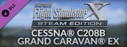 FSX Steam Edition: Cessna® C208B Grand Caravan® EX Add-On