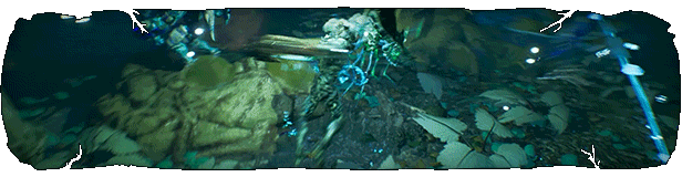 Arboria_-_Steam_GIF_1.gif