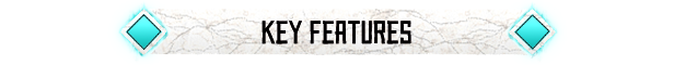 key_features.png
