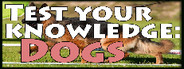 Test your knowledge: Dogs