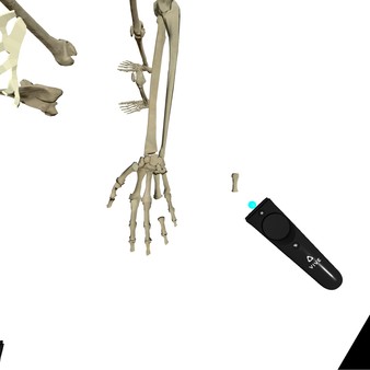 скриншот VR Anatomy 1