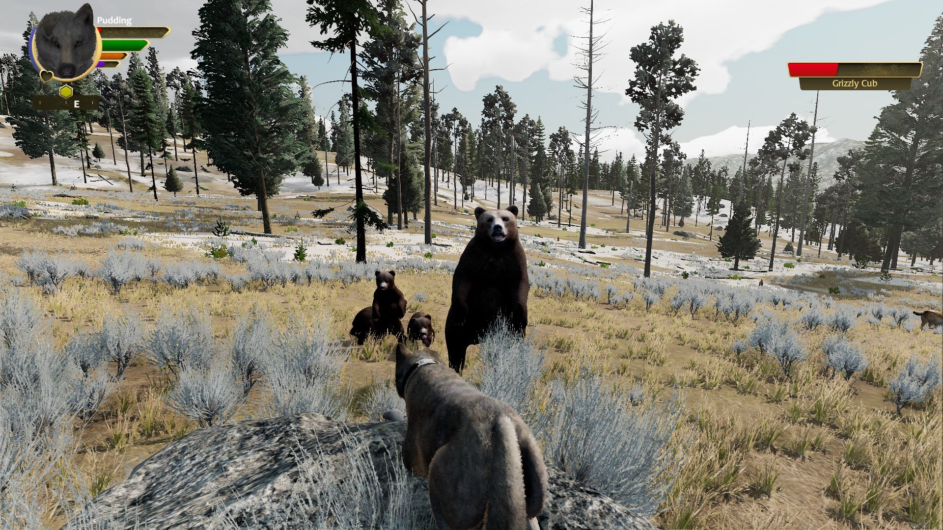 WolfQuest GiveAway - winter 2023