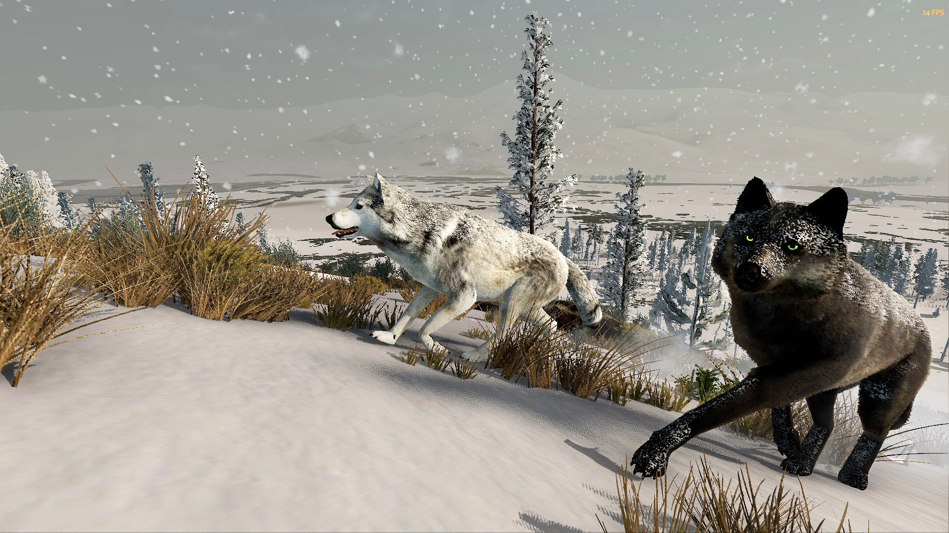 WolfQuest GiveAway - autumn 2022