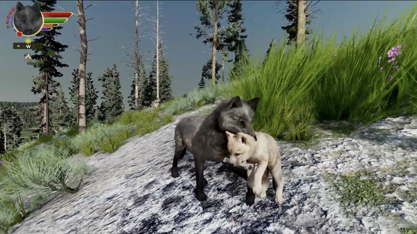 скриншот WolfQuest: Anniversary Edition 3