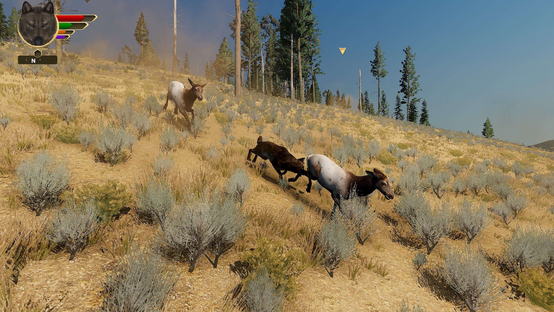 WolfQuest GiveAway - summer 2023