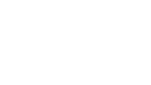 Solace State