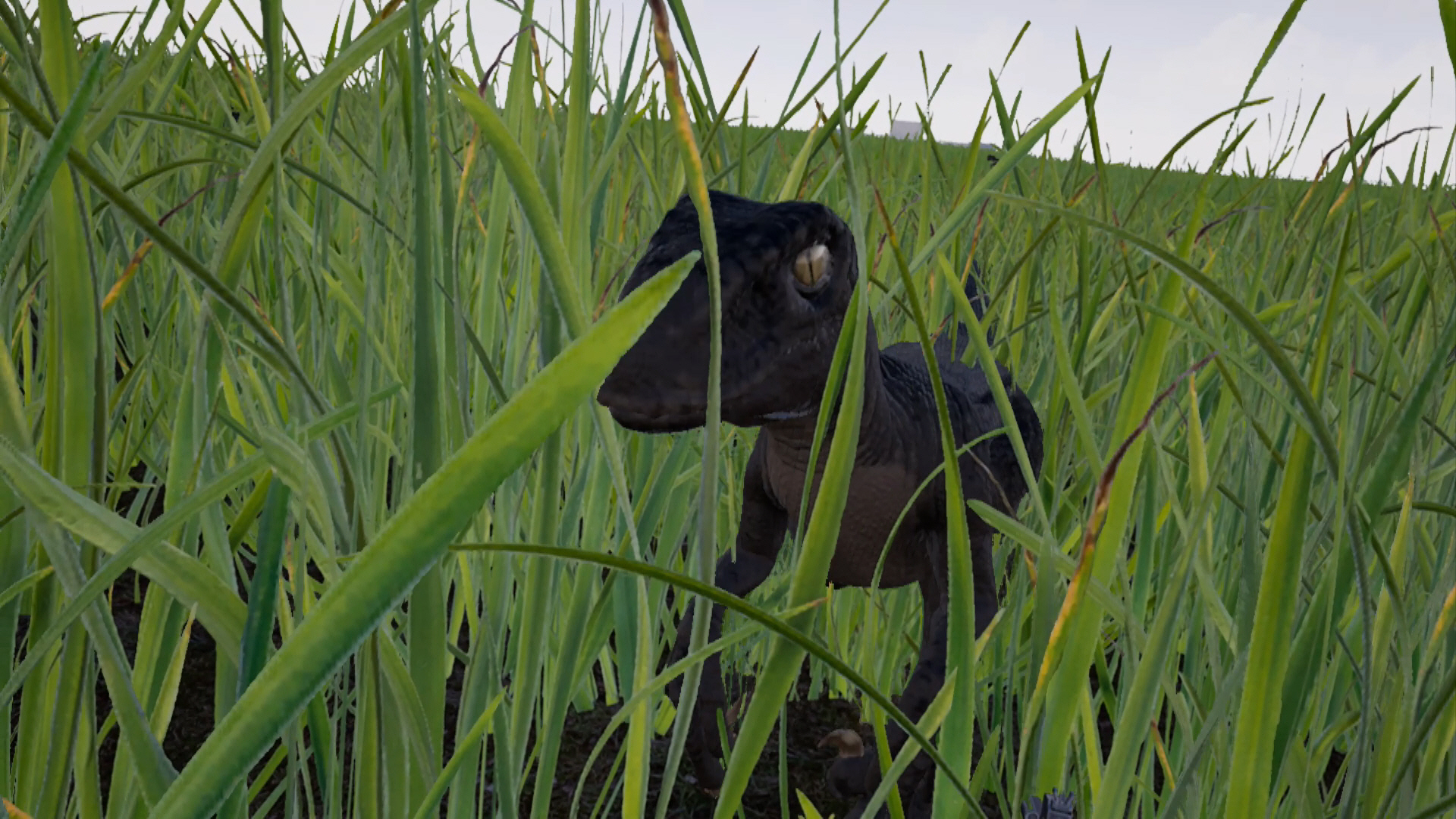 Raptor: Cretaceous Island screenshot 1