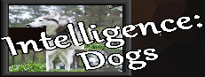 Intelligence: Dogs