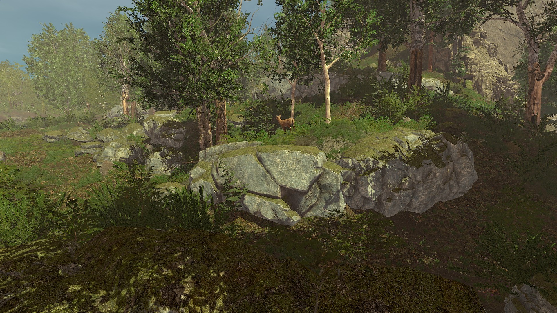 Trials of Wilderness screenshot 1