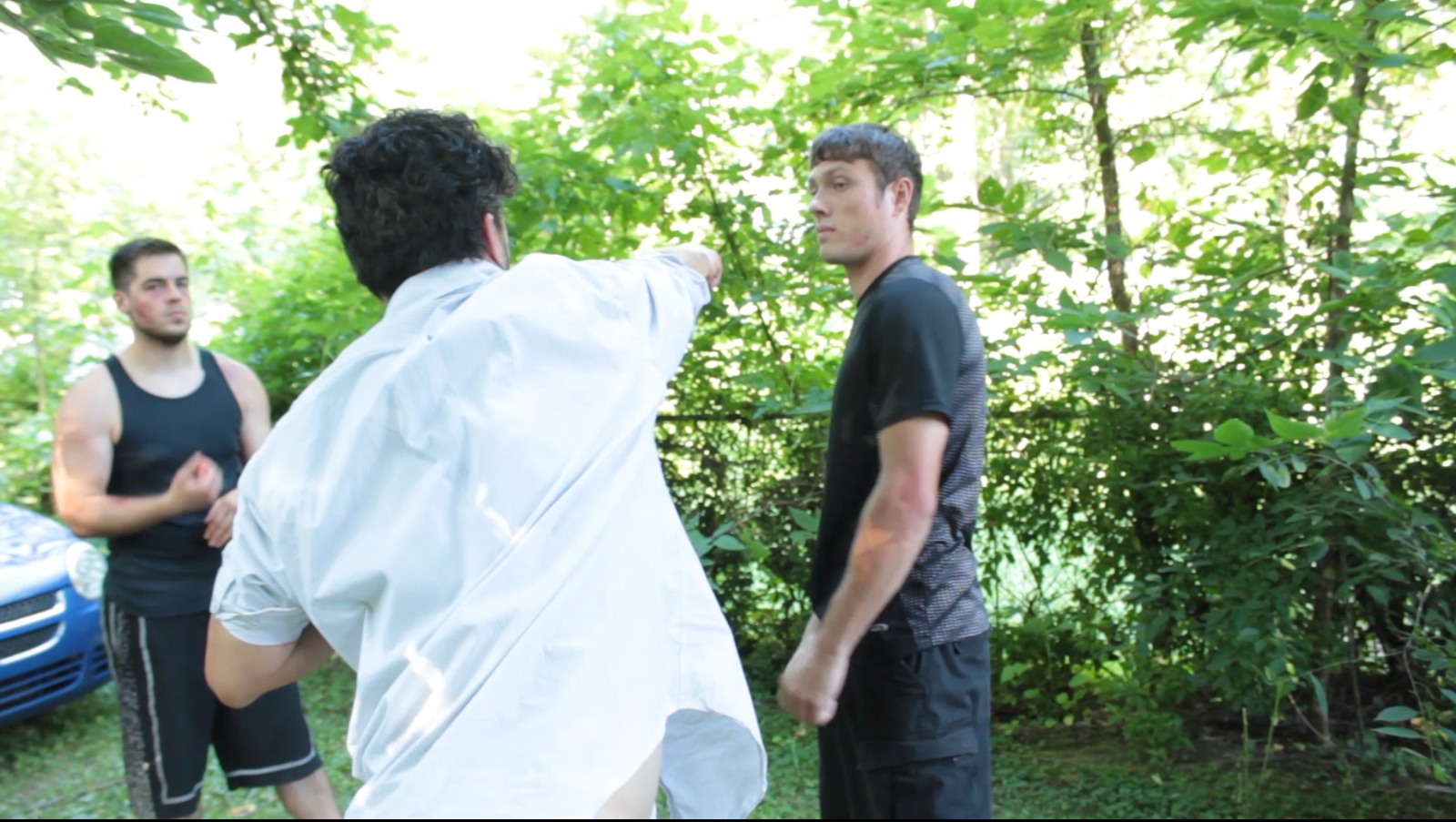 The Sentinel Chronicles: Stunt Training #0