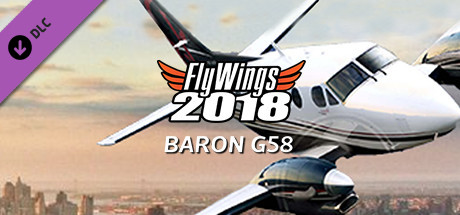 FlyWings 2018 - Baron G58 banner image