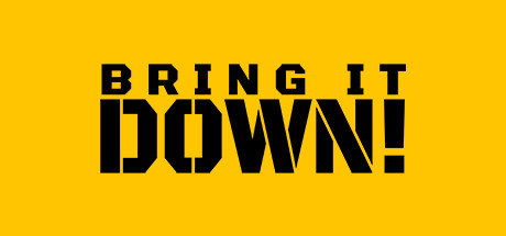 BRING IT DOWN! Cover Image
