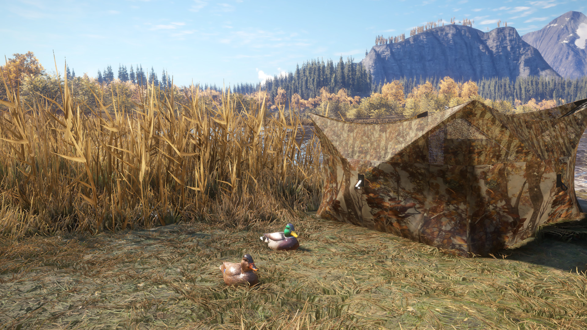 theHunter: Call of the Wild™ - Duck and Cover Pack Resimleri 
