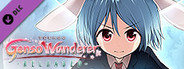 Player character "Rei'sen" (Touhou Genso Wanderer -Reloaded-)