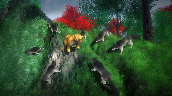 MetaMorph screenshot